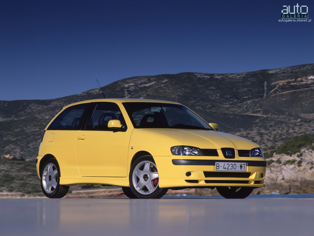 Seat Ibiza Cupra: 10 фото