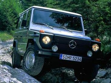 Mercedes G-class W461: 10 фото